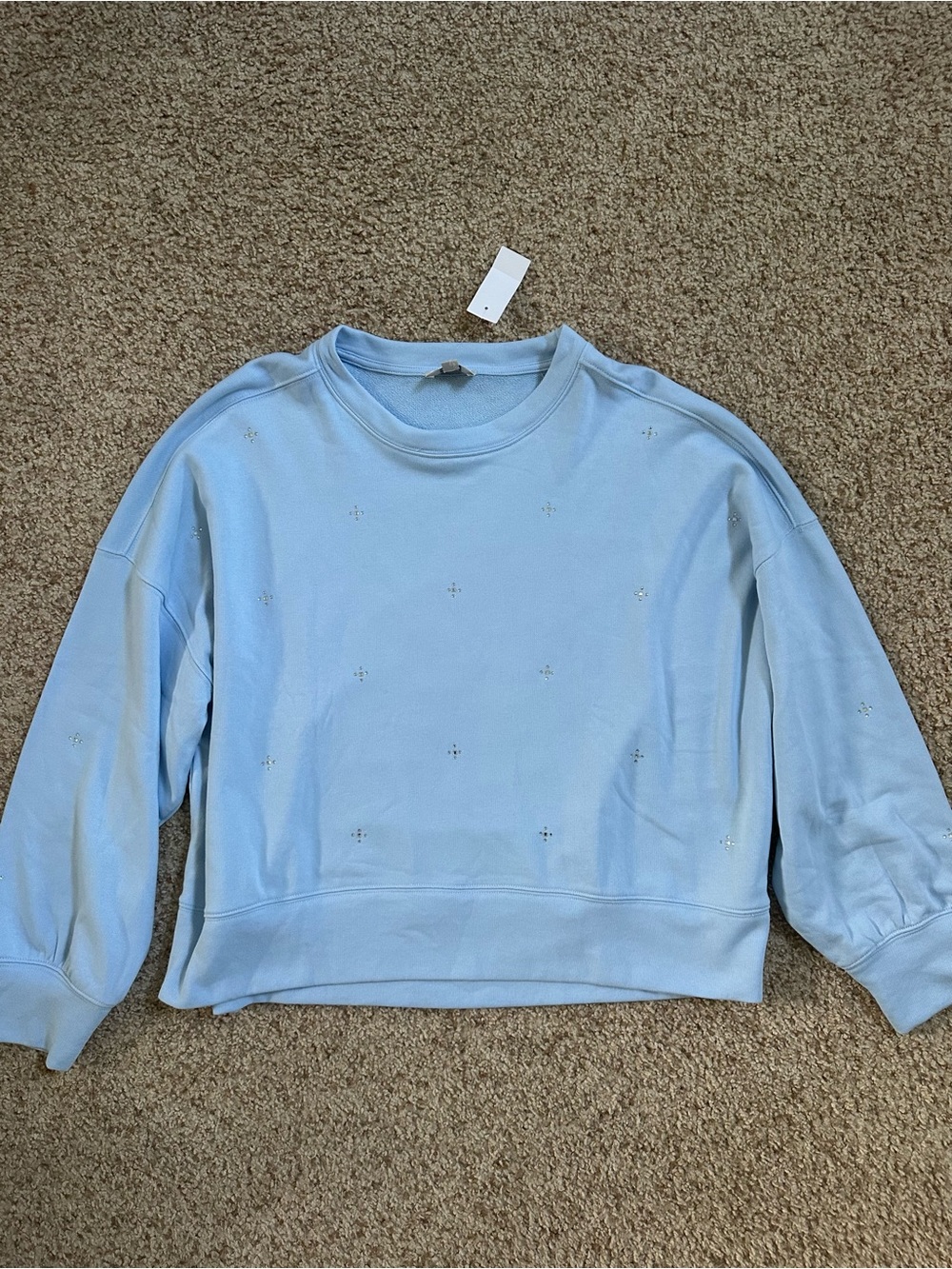 LOFT Sweatshirt